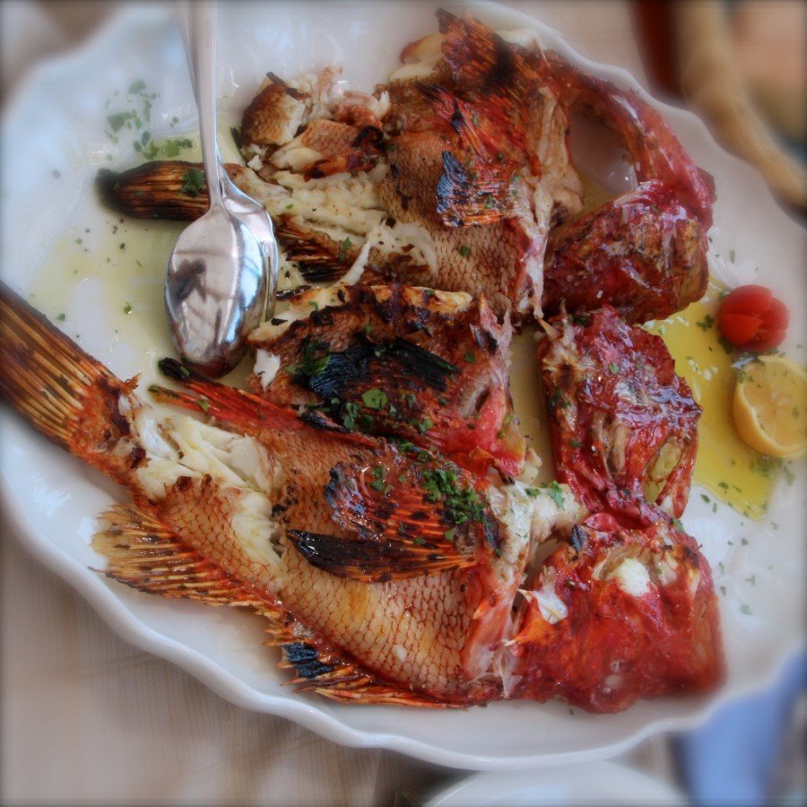 Traditional Croatian Food: Grilled Fish | Croatia Travel Blog