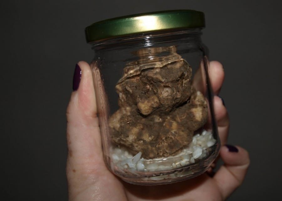 White Truffles In Istria: Do They Compare To Their Italian Cousin?
