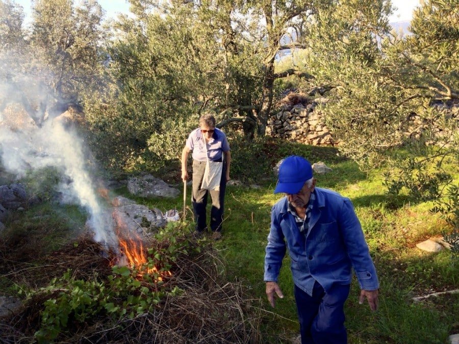 Nana and Dido kicking it old school: clearing up and burning the weeds under the olive trees.