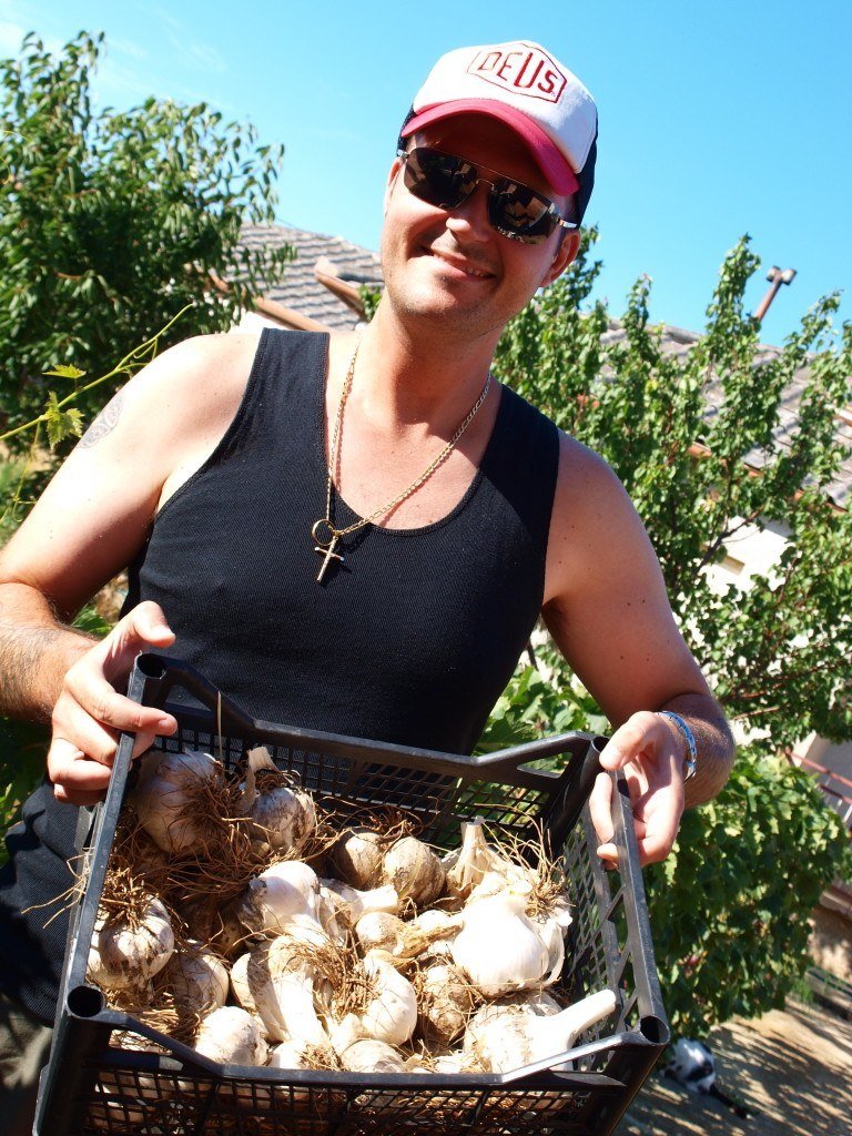 Mr. CtD with the home grown garlic - Chasing the Donkey