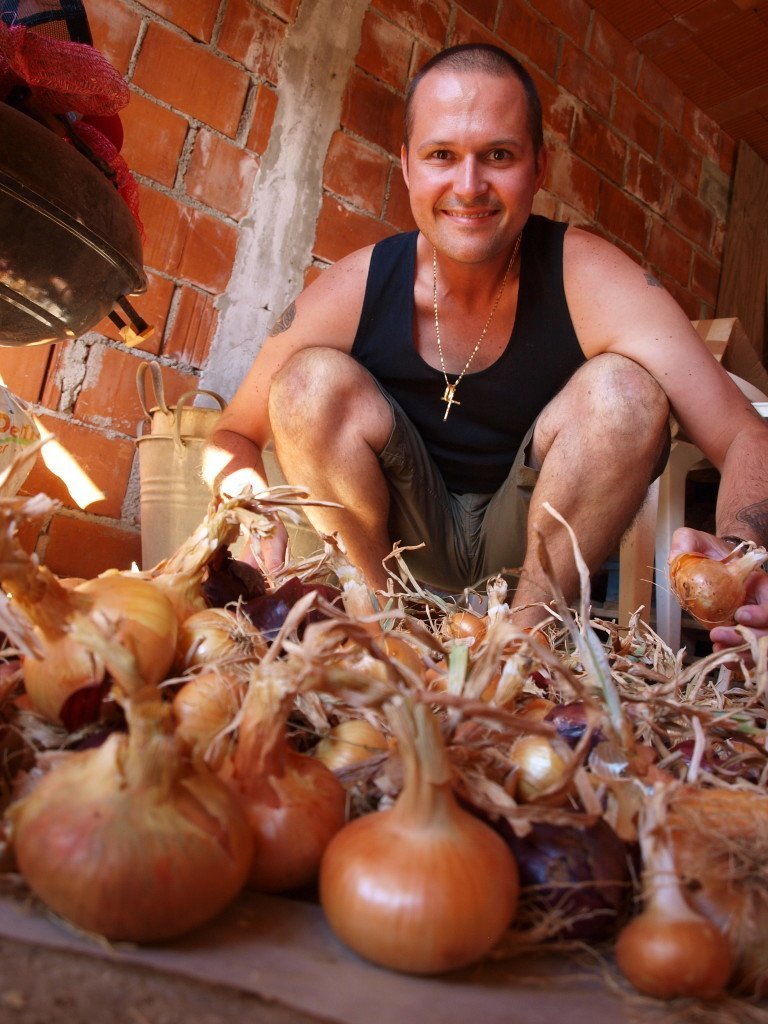 Home grown onions #Croatia- Chasing the Donkey