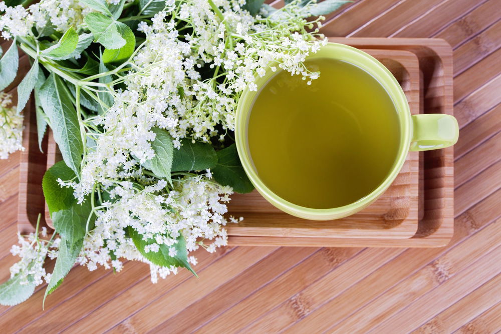 Elderflower Cordial Recipe (Bazga)