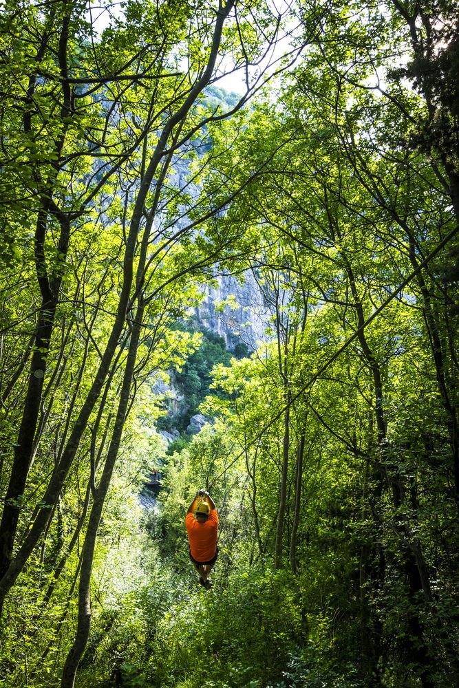  Person in an orange shirt zip-lining through a dense, green forest with sunlight filtering through the trees, reminiscent of the thrilling zipline Omis experience.