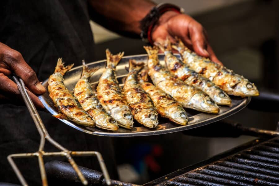 Freshly grilled sardines on silver plate