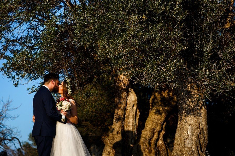 Olive Groves Destination Wedding, Pag | Croatia Travel Blog