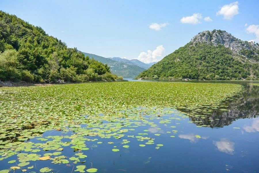 Lake Skadar Montenegro | Montenegro Travel Blogger