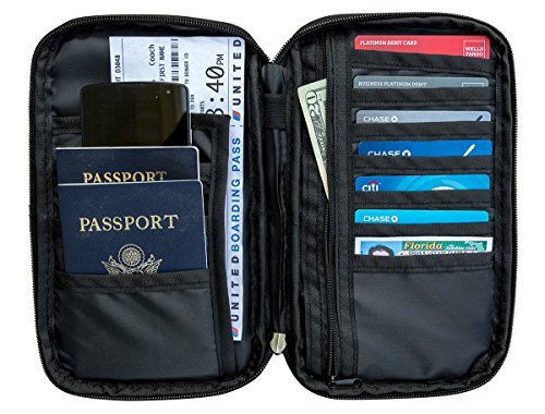 Destinio Unisex Polyester Passport Holder, Passport Wallet for Men, Women and Family for Travel (Blue)