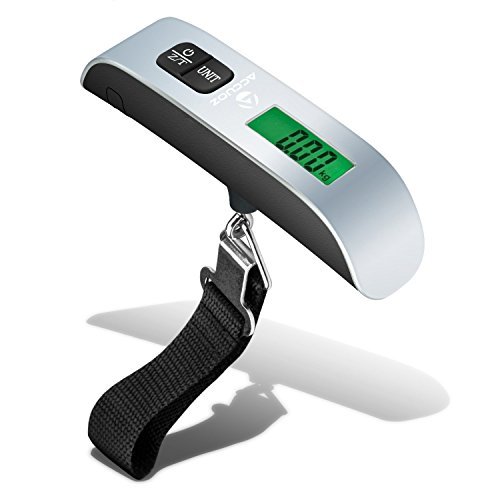 electronic travel scale