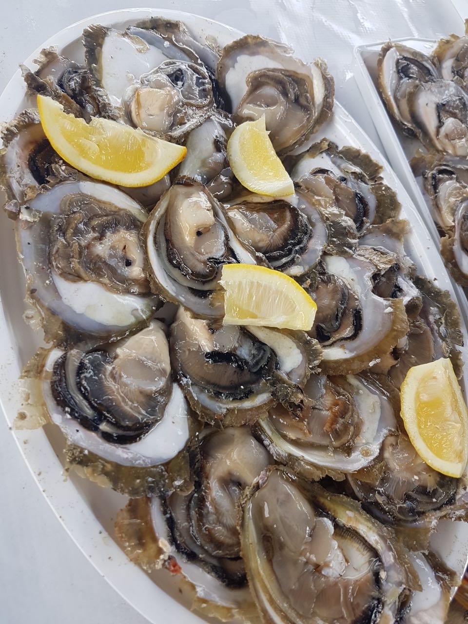 Oysters in Mali Ston Oysters Croatia
