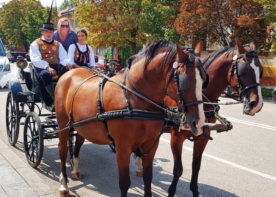 Horse Ride Visit Slavonia Welcome In Županja