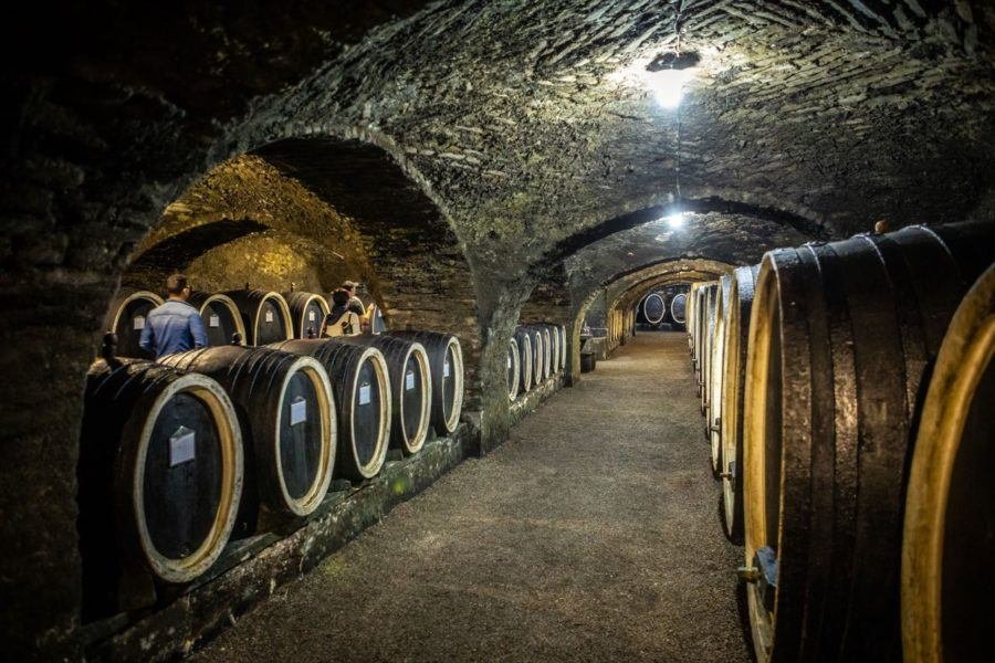Kutjevo Wine Cellar
