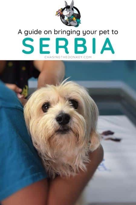 Serbia Travel Blog_What to do in Serbia_How to Travel with Pets to Serbia