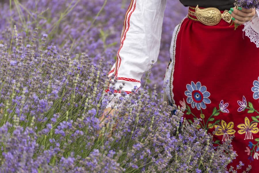 Bulgarian girl in a lavender field in Bulgaria