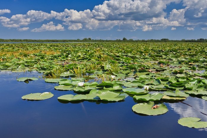 Danube Delta, Romania - Balkans UNESCO World Heritage Sites