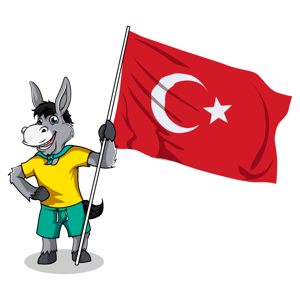Balkan Flags_Turkey 1