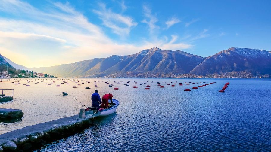 Winter In Montenegro - Locals Fishing