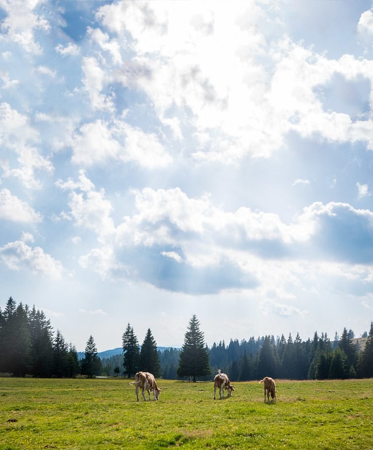 best things to do in rogla slovenia 6