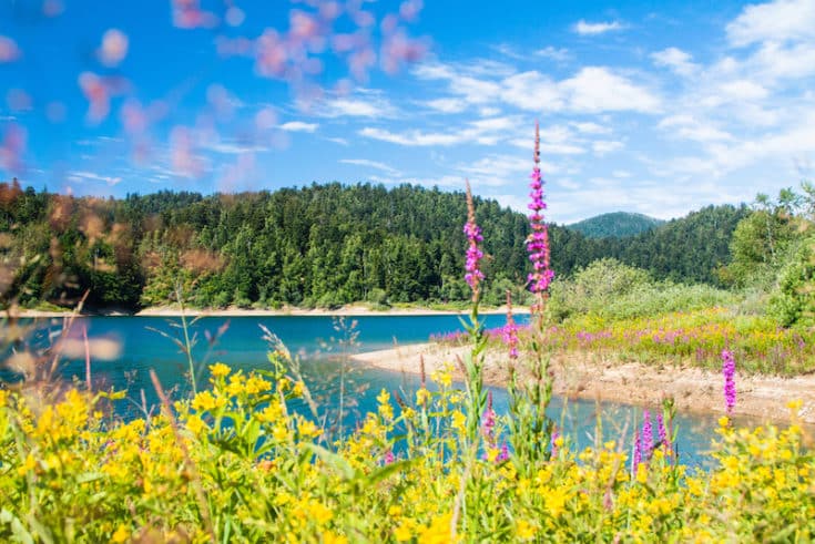 A Guide To Gorski Kotar What To Do Where To Eat Sleep   Beautiful Landscape In Gorski Kotar Croatia Lokve Lake Shore Depositphotos 336094830 S 2019 735x491 