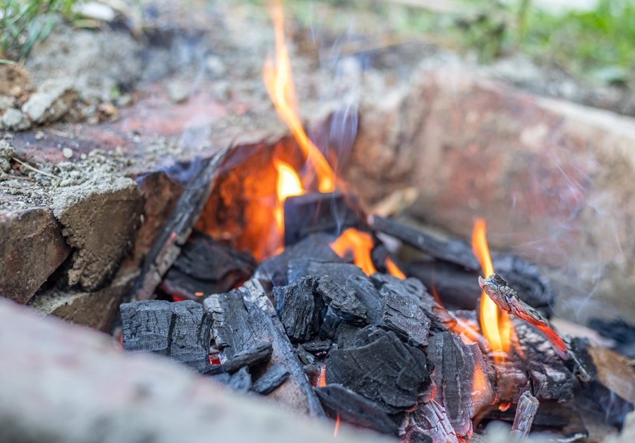A fire is burning in a campfire pit, cooking skinless sausages.