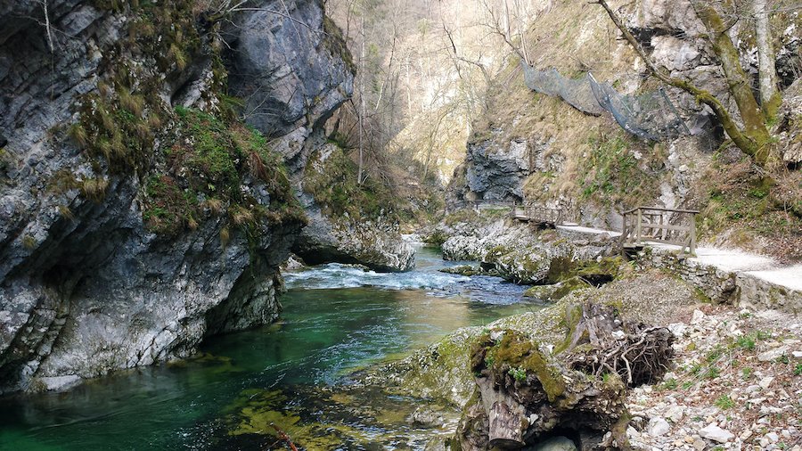 Explore the beautiful Vintgar Gorge in Slovenia, featuring a picturesque bridge at its center.