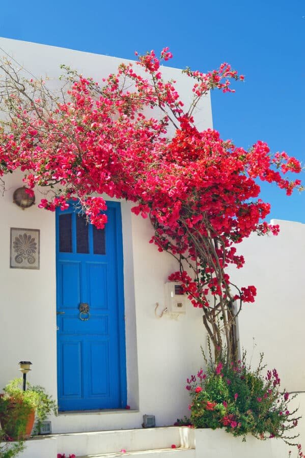 Traditional greek door on Sifnos island close to Athens
