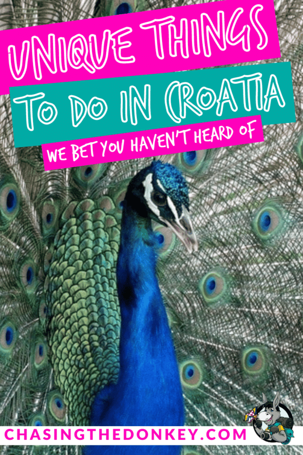Croatia Travel Blog_Weird & Interesting Things To Do In Croatia