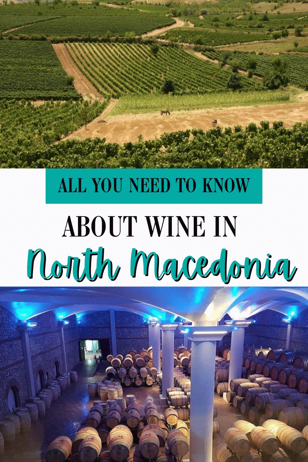 North Macedonia Travel Blog_All You Need To Know About North Macedonian Wine