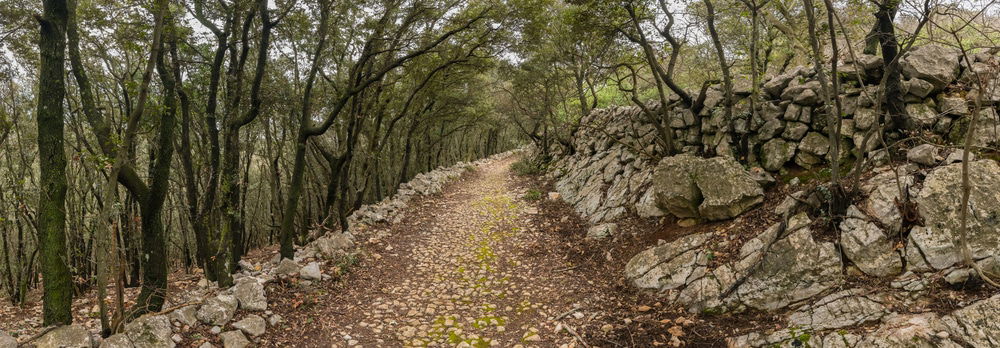 Old roman road in the forest in Cres (Croatia) on a cloudy day in spring