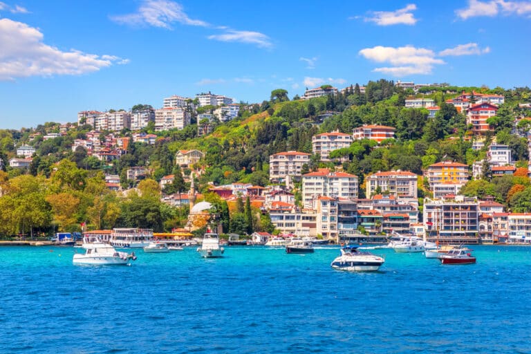 7 Epic Bosphorus Cruise & Istanbul Boat Tours In 2024