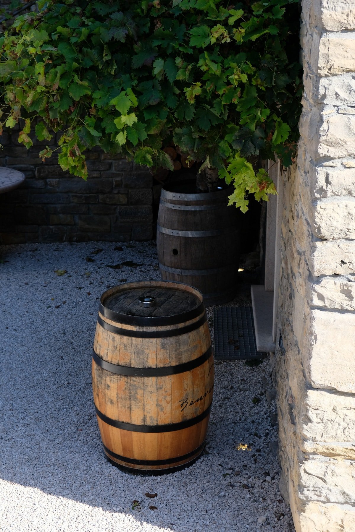 At Benvenuti Winery in Istria wooden barrel in front of a stone wall.
