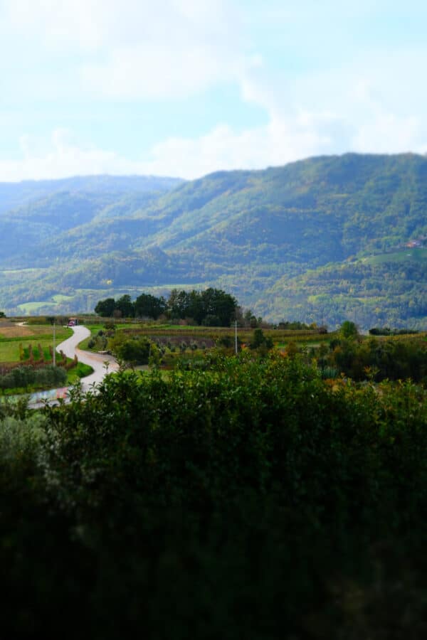 A person riding a horse on a dirt road in Istria.