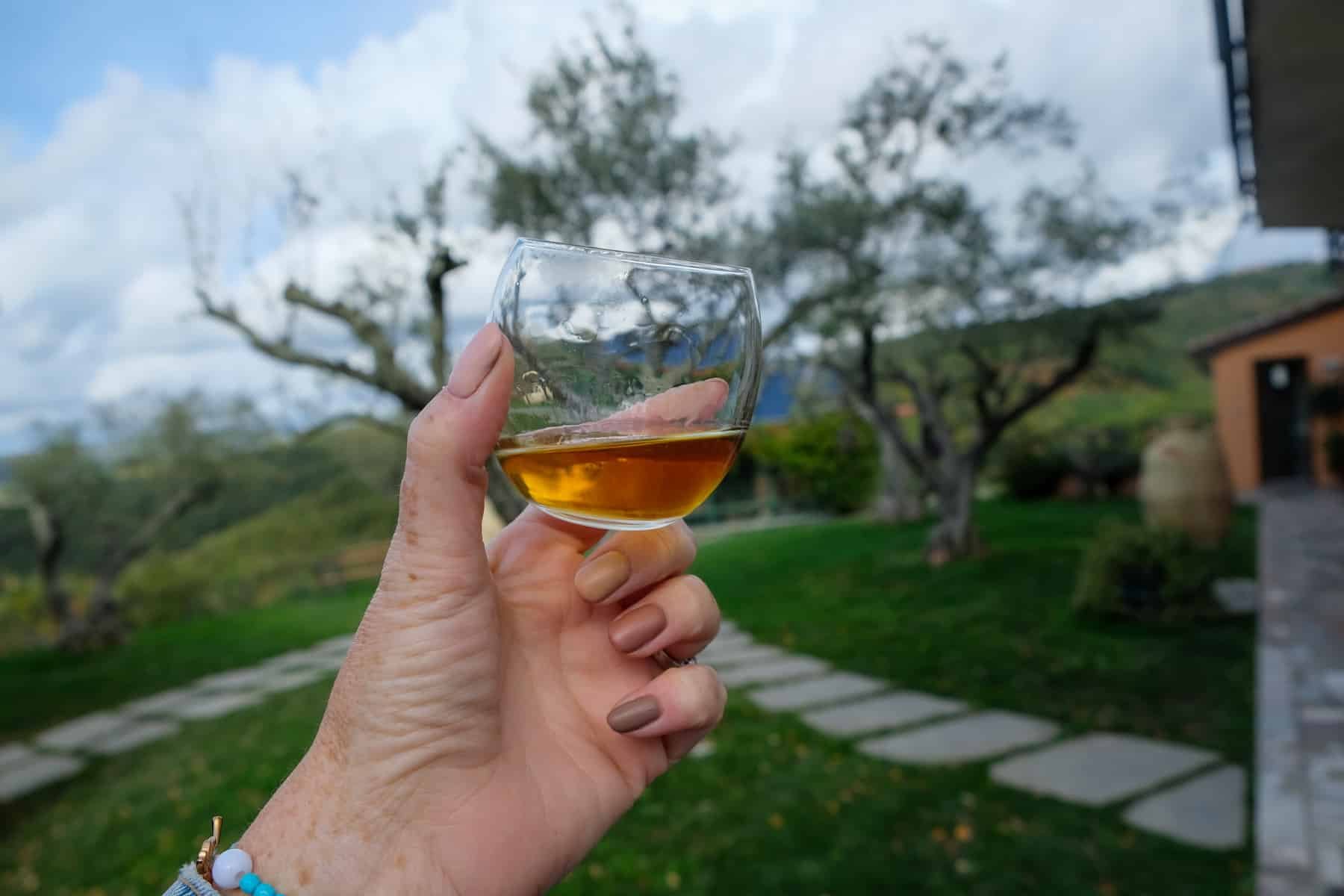 A person holding a glass of wine in front of a house in Istria.