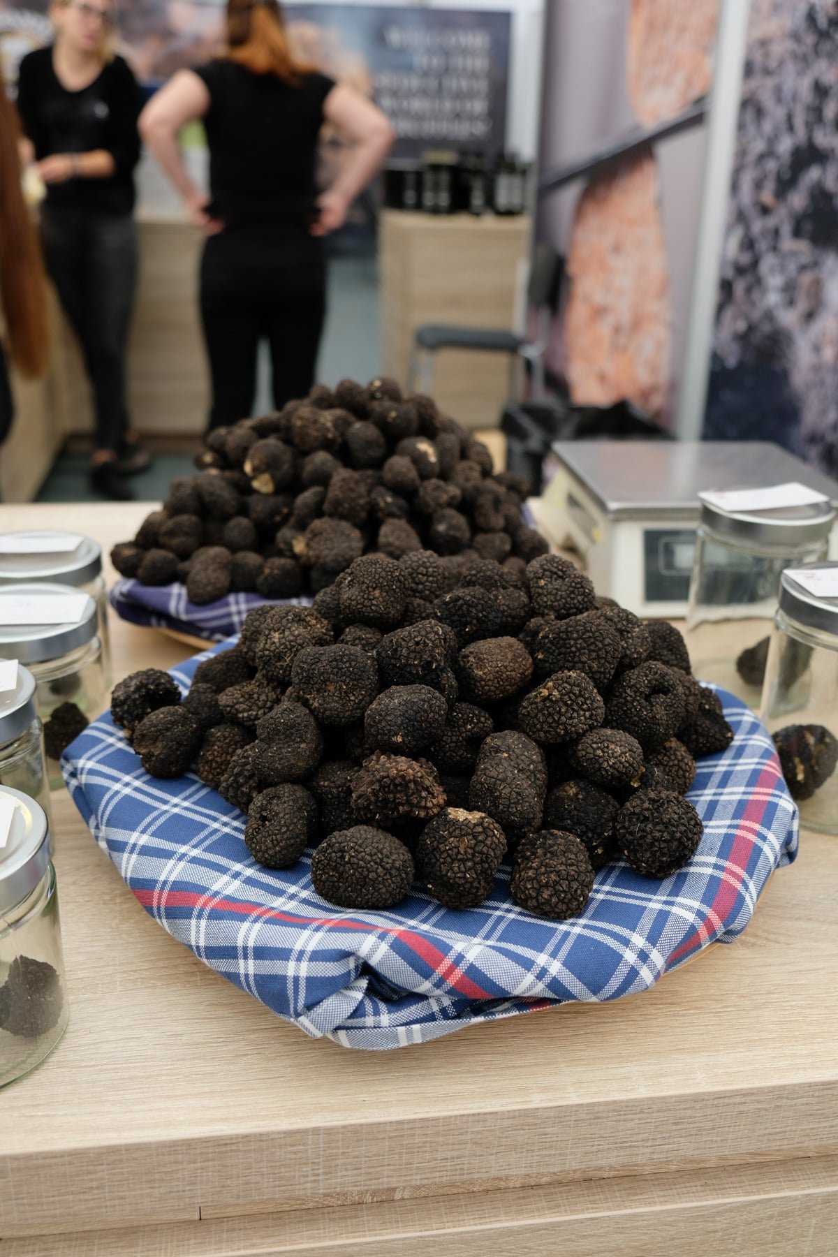 Istria black truffles on a table in front of a group of people.