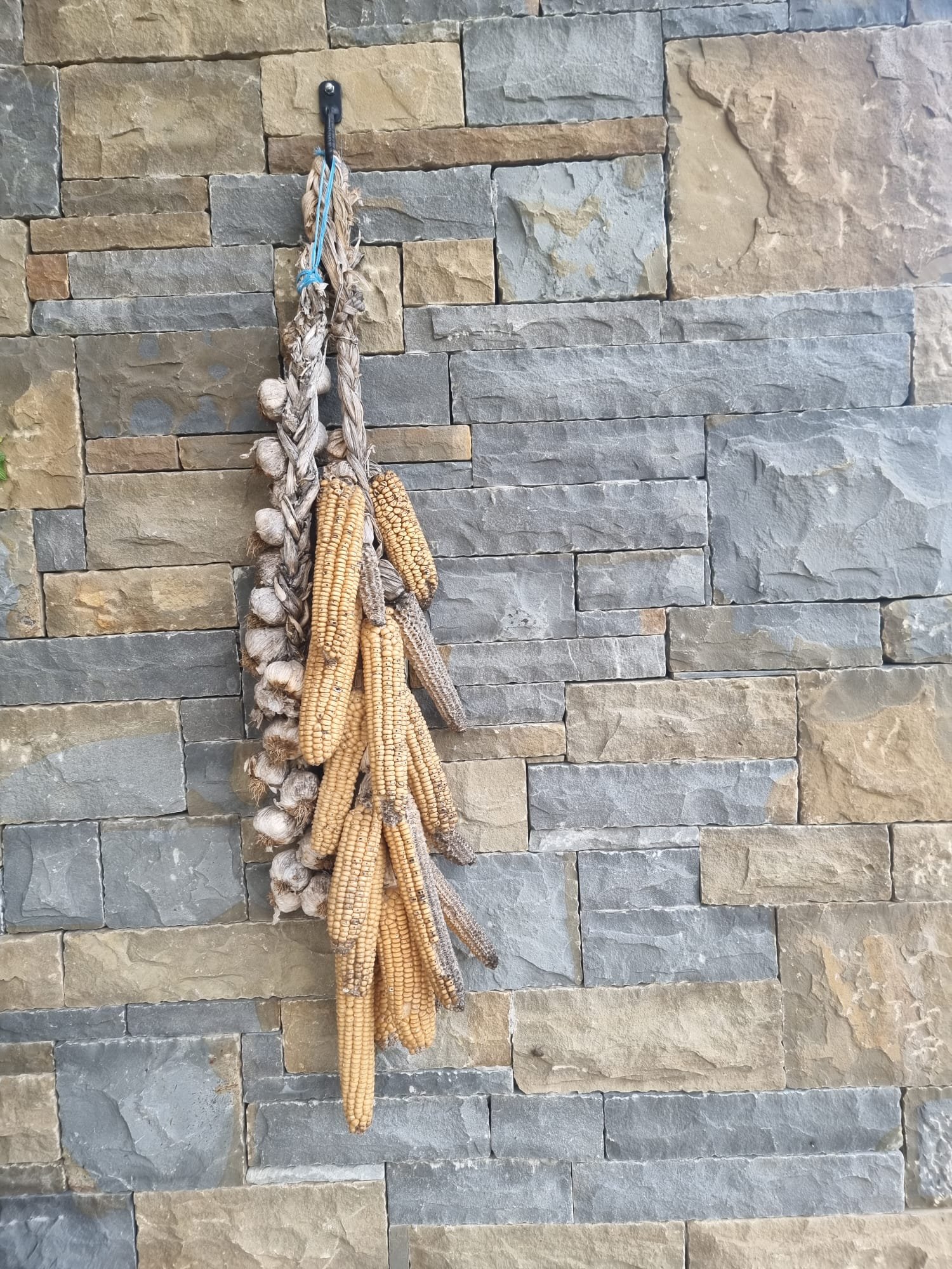 Vuglec Breg corn on the cob hanging from a stone wall.