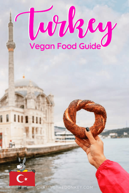 Turkey Travel Blog_Vegan Food In Turkey