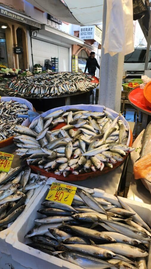 Is Izmir Worth Visiting - Kemeraltı Çarşısı Market - Fish