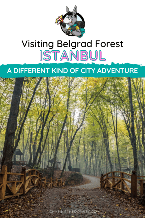 Turkiye Travel Blog_Belgrad Forest Istanbul Guide