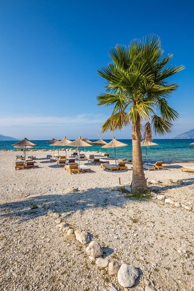 One of the best beaches in Albania, featuring a majestic palm tree on its sandy shore.