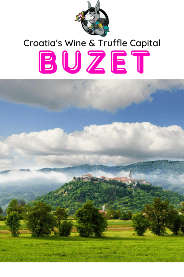 Croatia Travel Blog_Buzet Istria_Croatia's Wine & Truffle Capital