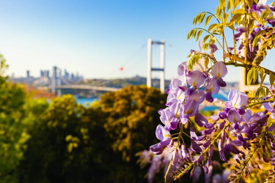 Hidden gems of Istanbul - Nakkaştepe Park