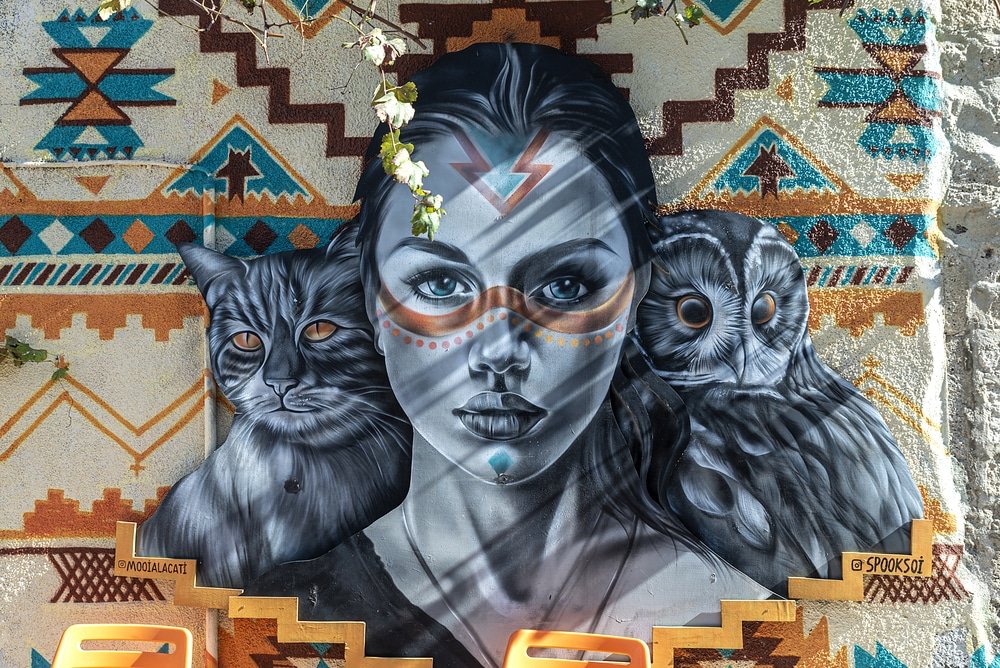 Alacati Travel Guide: A captivating mural in Alacati showcasing a woman and owls on the wall is definitely a must-see among the numerous things to do in this charming town.