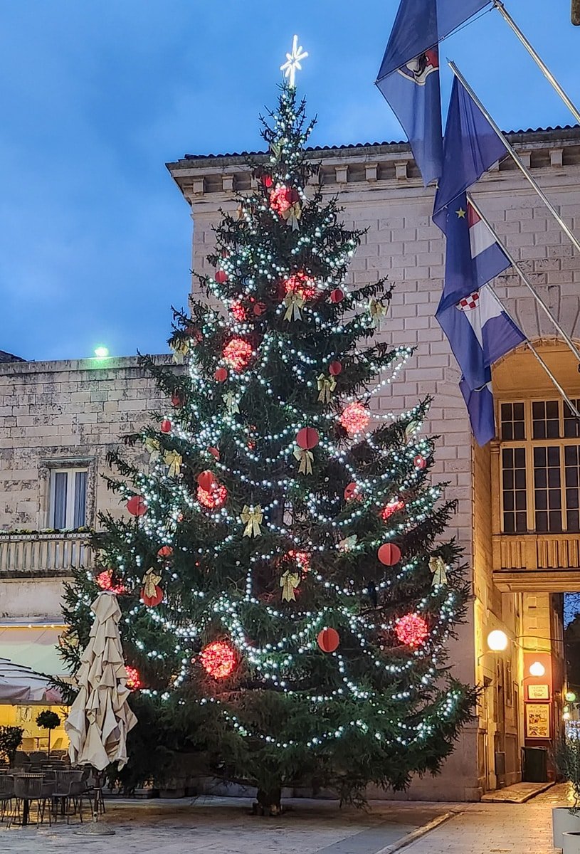 A festive advent scene with a large Christmas tree in front of a building in Zadar.