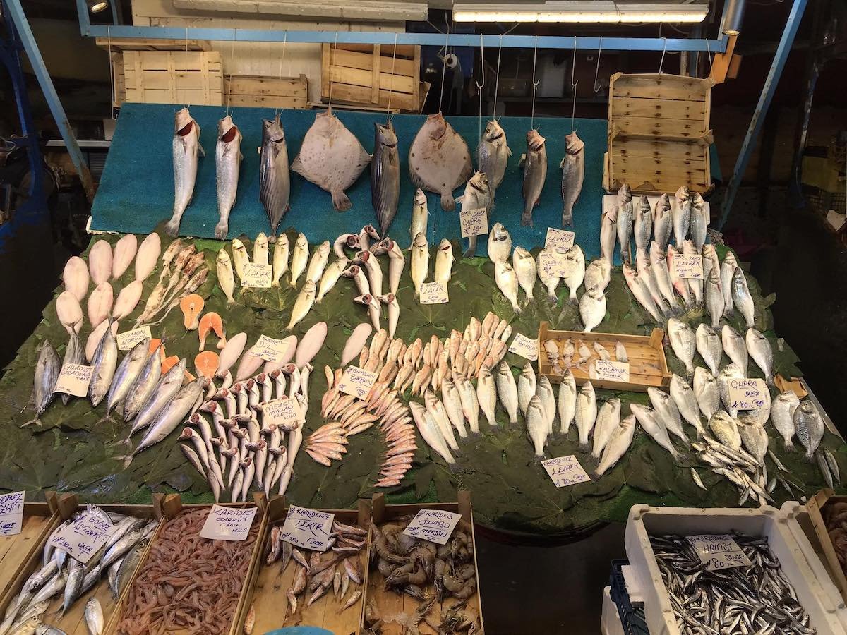 A display of fish on display at a market.