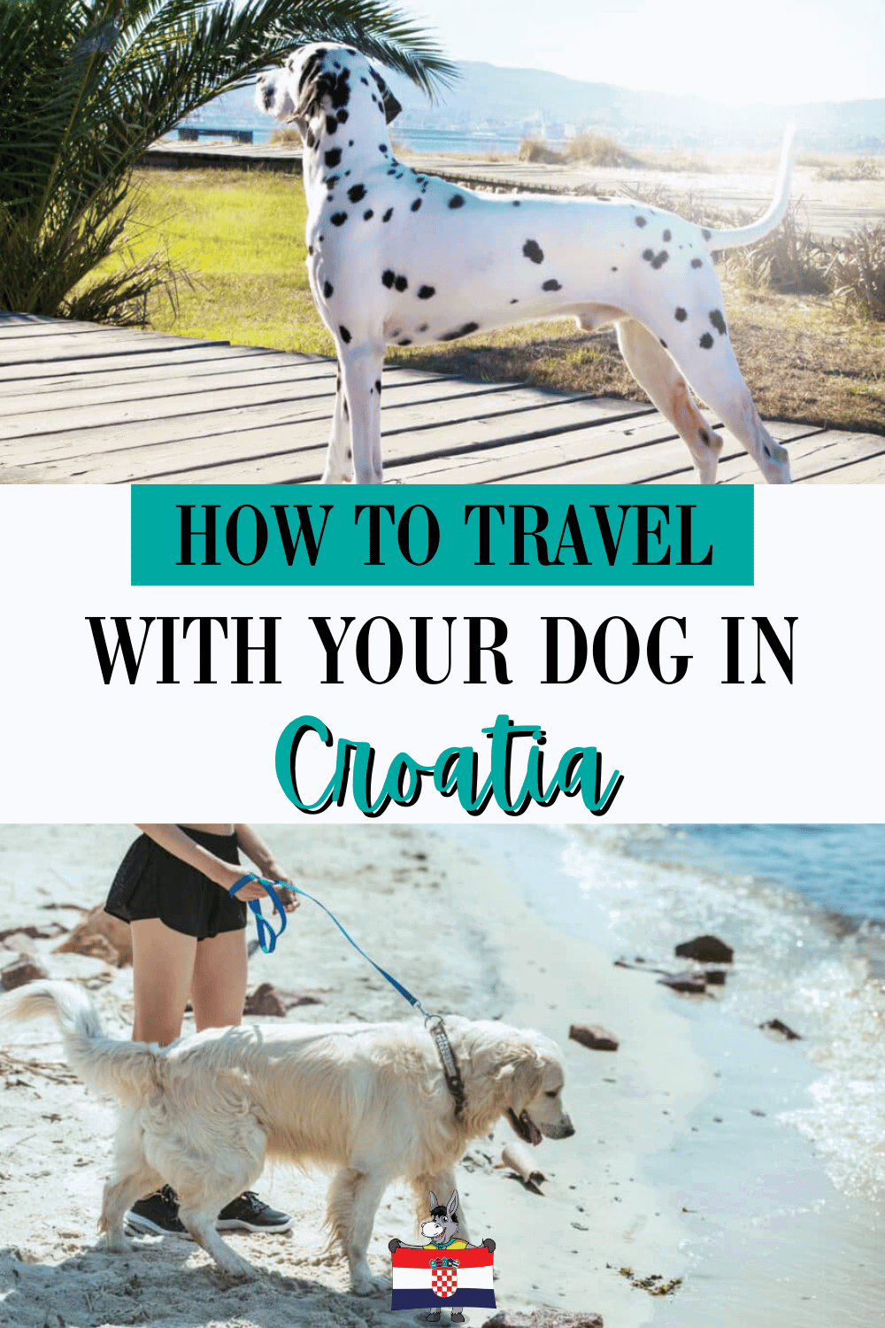 Croatia Travel Blog_How To Travel With Your Dog In Croatia