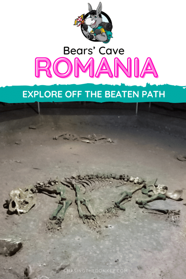 Romania Travel Blog_Bears' Cave Romania
