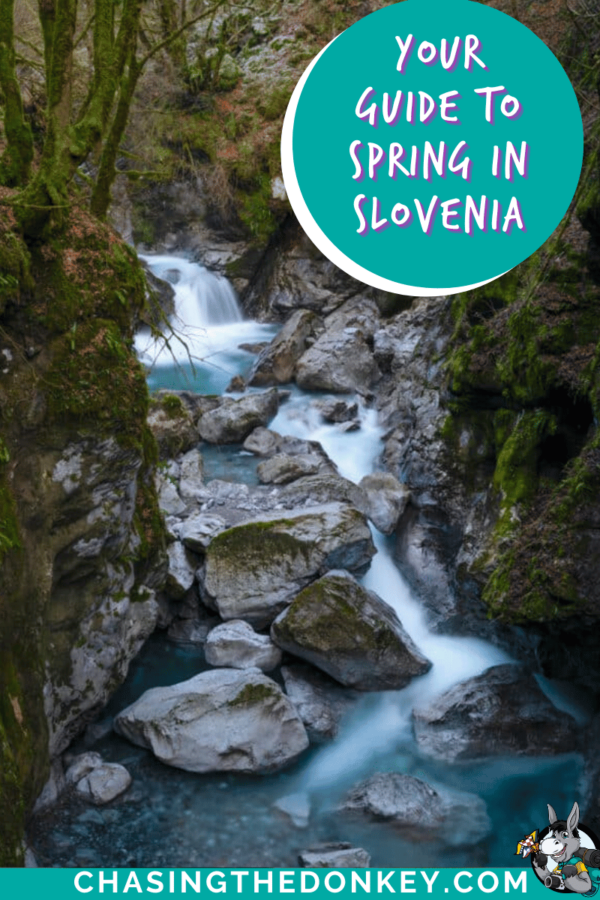 Slovenia Travel Blog_Spring In Slovenia_Things To See & Do