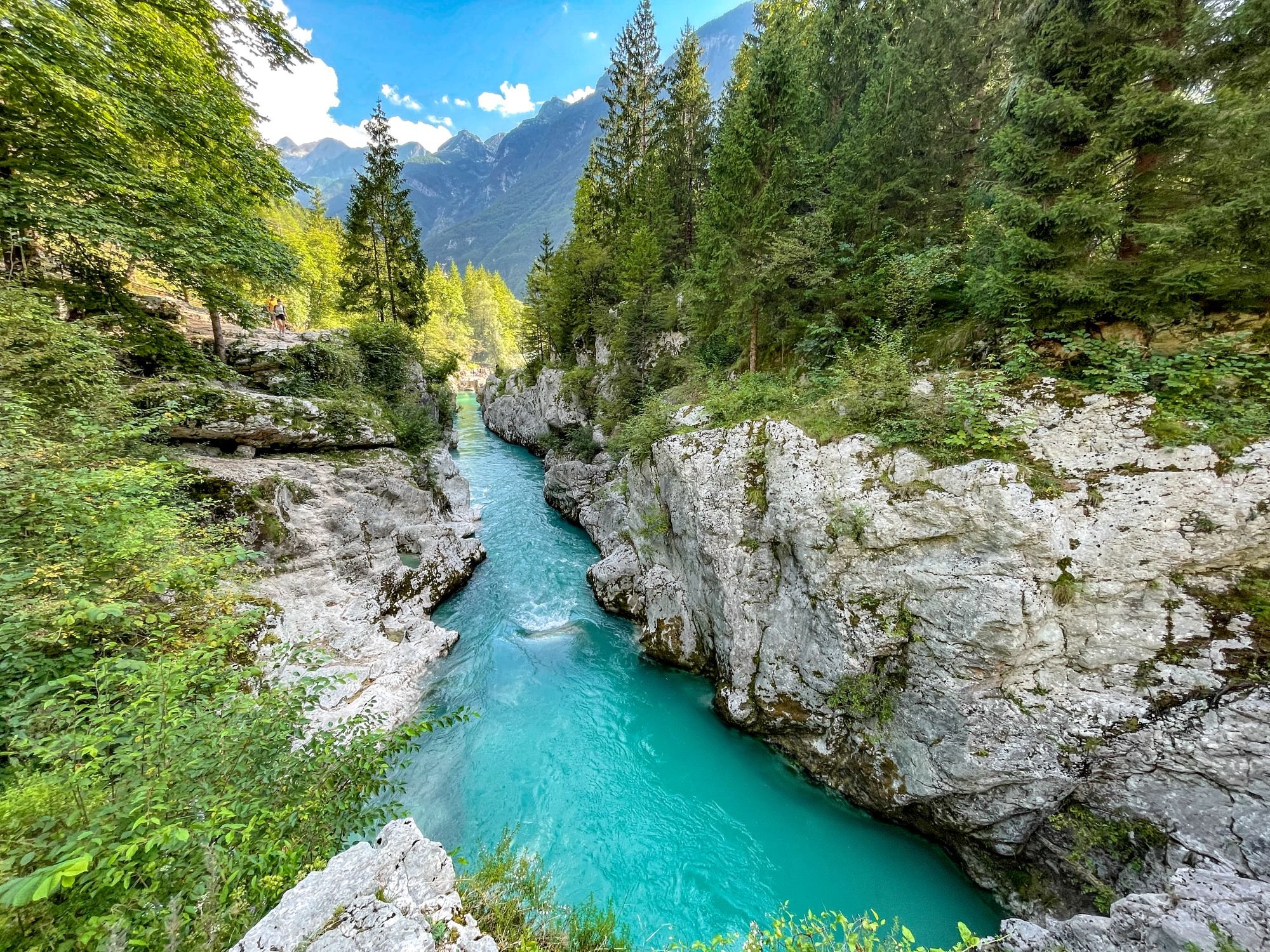 A river surrounded by rocks and trees in the Slovenian Alps, with an auto draft flowing through the picturesque landscape.