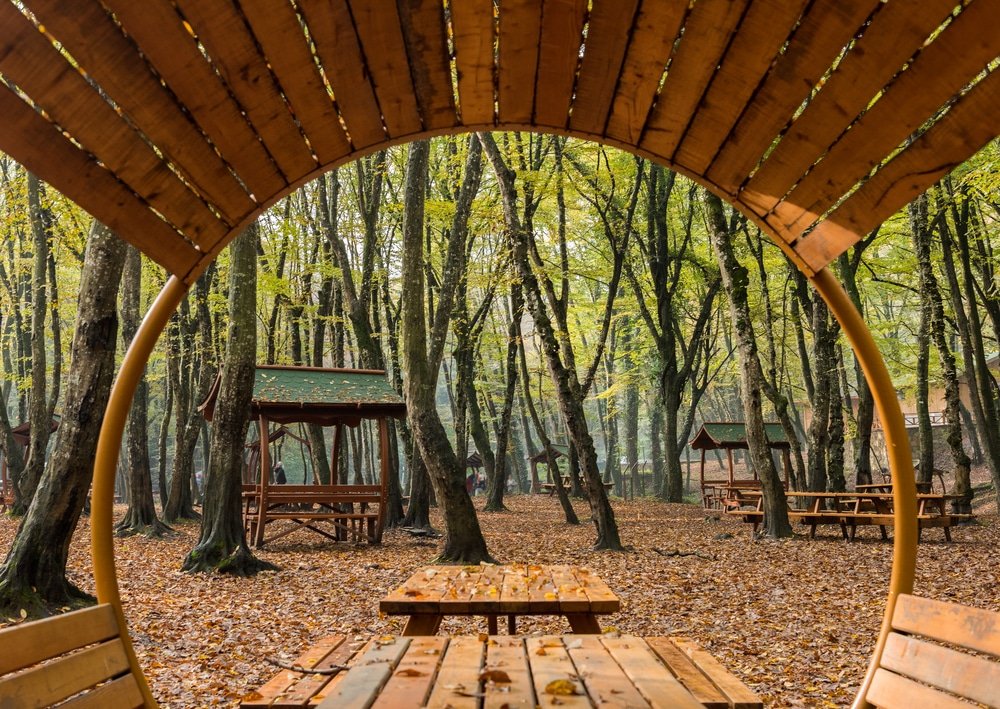 A circular wooden bench in a wooded area in Belgrad Forest Istanbul