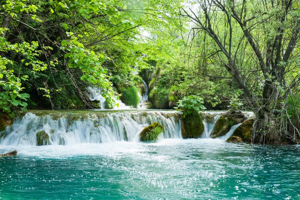 A serene waterfall amid lush greenery in a forest setting at Plitvice Lakes.