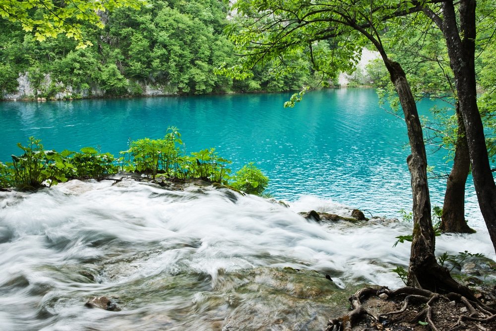 A rushing stream flows into a serene turquoise lake surrounded by lush green foliage at the breathtaking Plitvice Lakes, making it undoubtedly worth visiting.